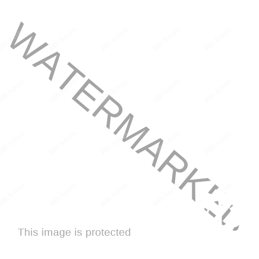 logo main